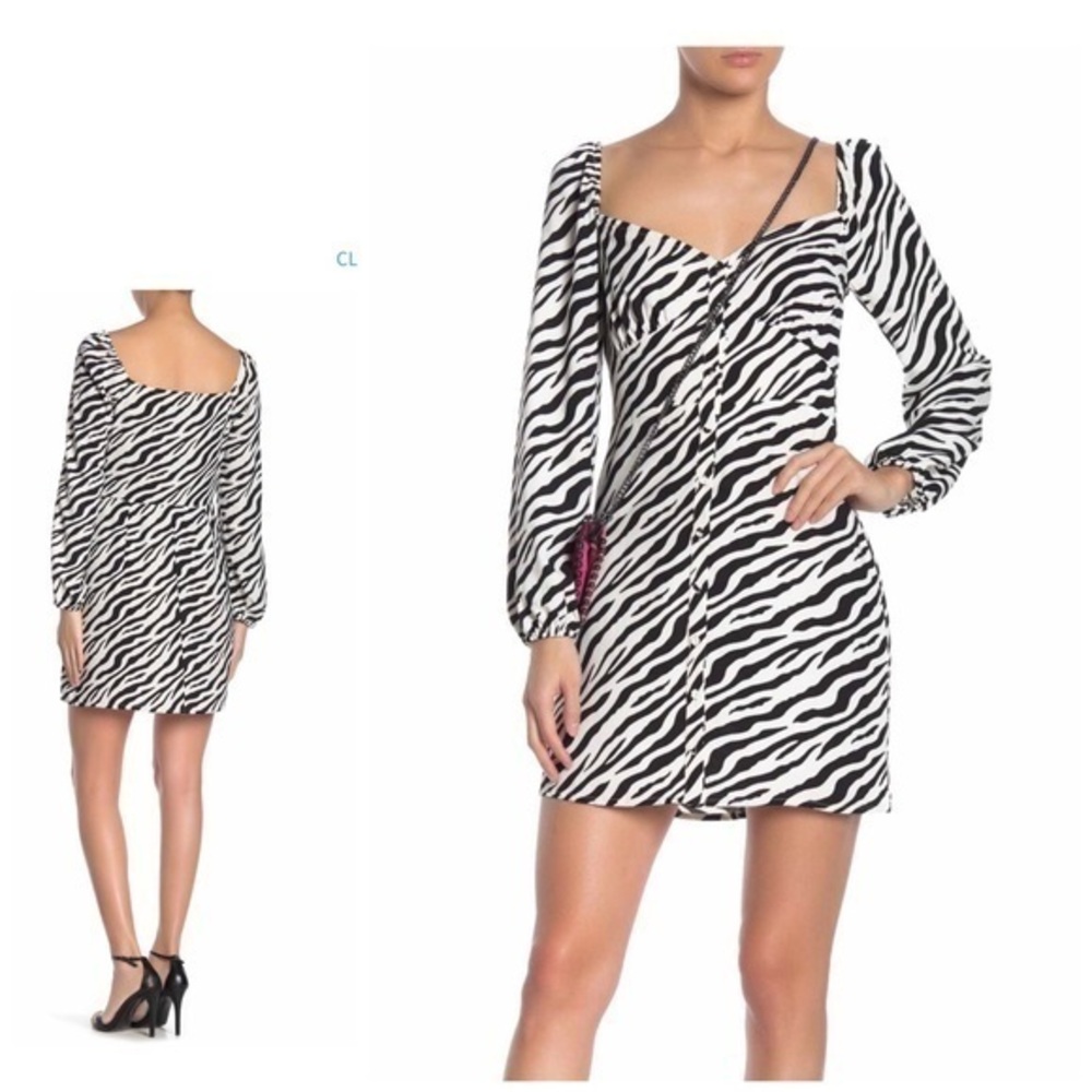 Zebra print dress